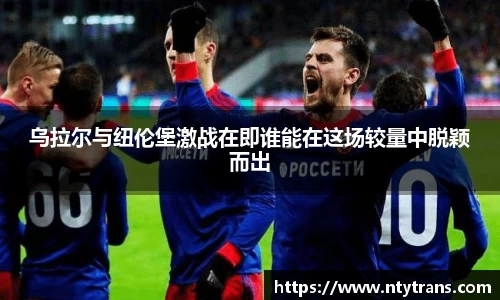 完美体育登录入口